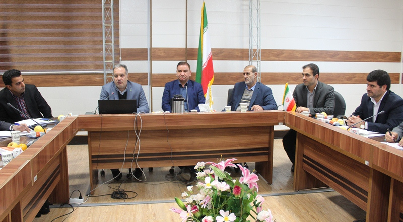 یکی از آفت‌های آموزش عالی &quot;کمیت گرایی&quot;است