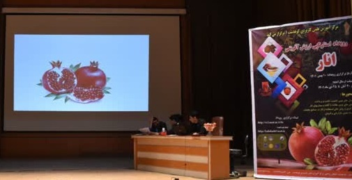 استارتاپ « ارزش آفرینی انار» در کوهدشت برگزار شد