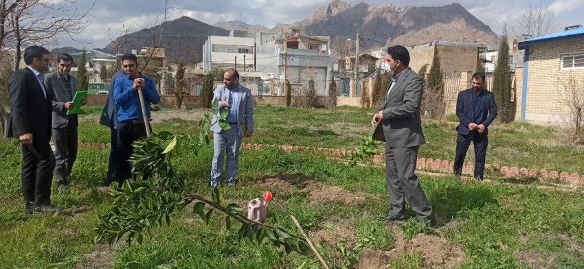 کاشت نهال در دانشگاه جامع علمی کاربردی لرستان